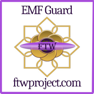 EMF Guard